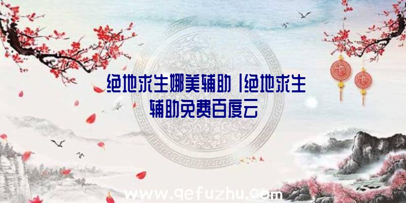「绝地求生娜美辅助」|绝地求生辅助免费百度云
